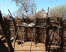 Africa selectie - 020