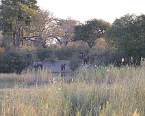 Africa selectie - 051