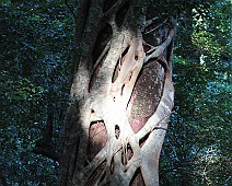 IMG_7101 Fraser Island