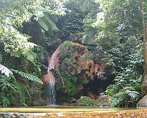 Azoren selectie - 30