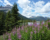 Canada selectie - 026