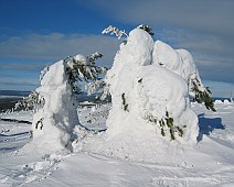 Lapland selectie - 12