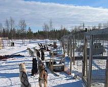 Lapland selectie - 16