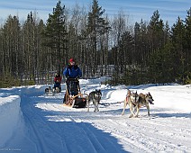 Lapland selectie - 17