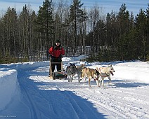 Lapland selectie - 18