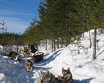 Lapland selectie - 19
