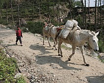 Nepal selectie - 045