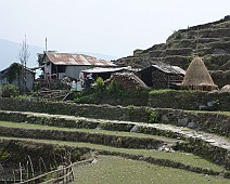 Nepal selectie - 053
