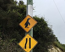 IMG_0023