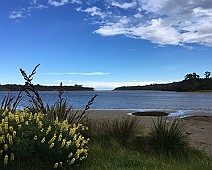 IMG_0079