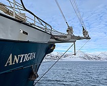 IMG_2896