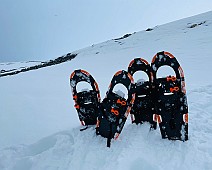 IMG_2921