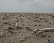 IMG_0890