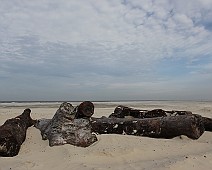 IMG_4682