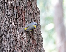 IMG_6984