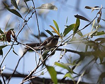 IMG_7016
