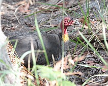 IMG_7024