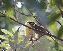 IMG_7026