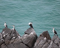 IMG_7044
