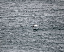 IMG_7048