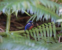 IMG_7090