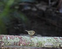 IMG_7098