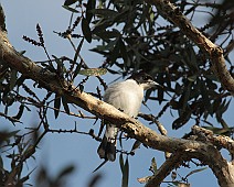 IMG_7136
