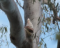 IMG_7151