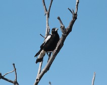 IMG_7228