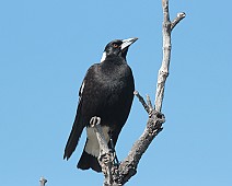 IMG_7242
