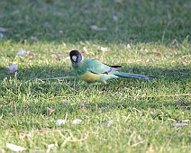 IMG_7304