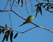 IMG_7400