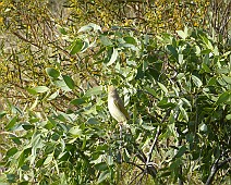 P1100202