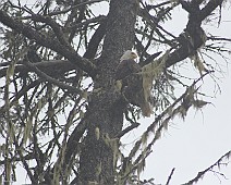 IMG_1050