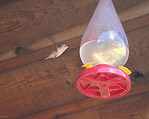 IMG_1074