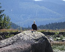 IMG_1512