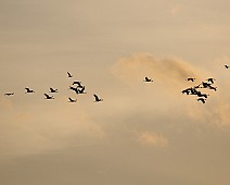4X0A7700
