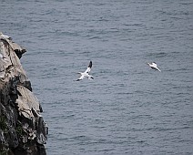 IMG_5322