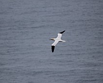 IMG_5362
