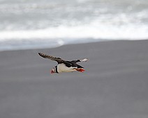 IMG_5771
