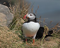 IMG_5783