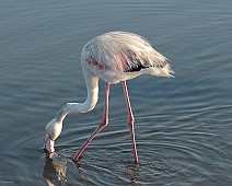 IMG_3280