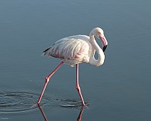 IMG_3288