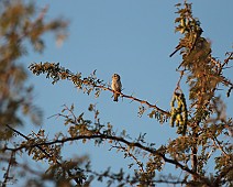 IMG_3497