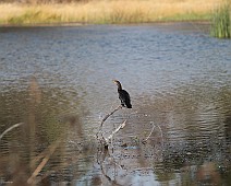 IMG_3577
