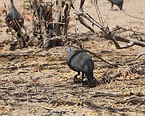 IMG_3739