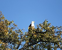 IMG_3888