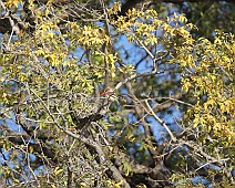 IMG_3917