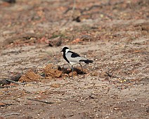 IMG_3922