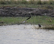 IMG_3959